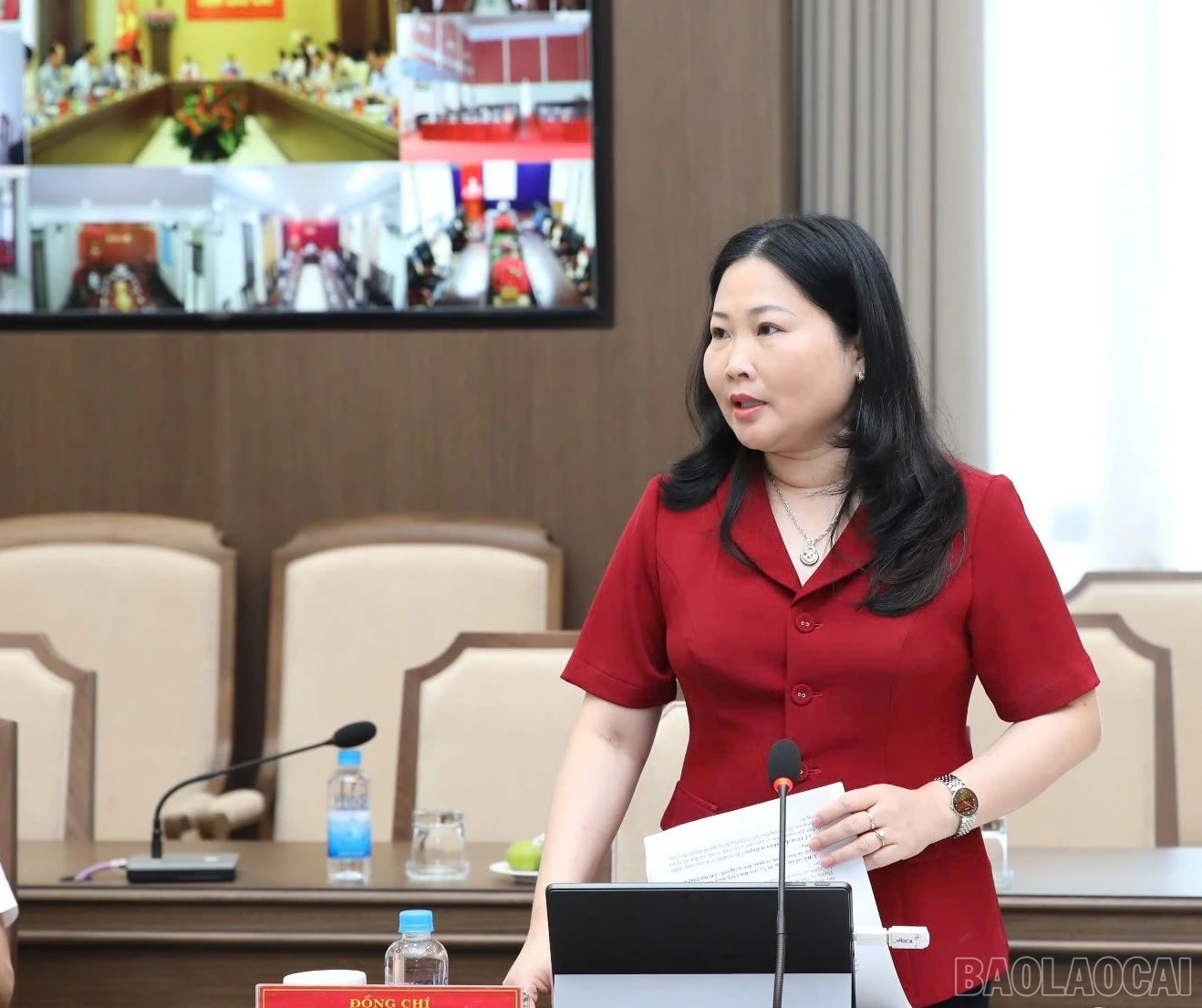 baolaocai-br_ba-hanh-hanh.jpg