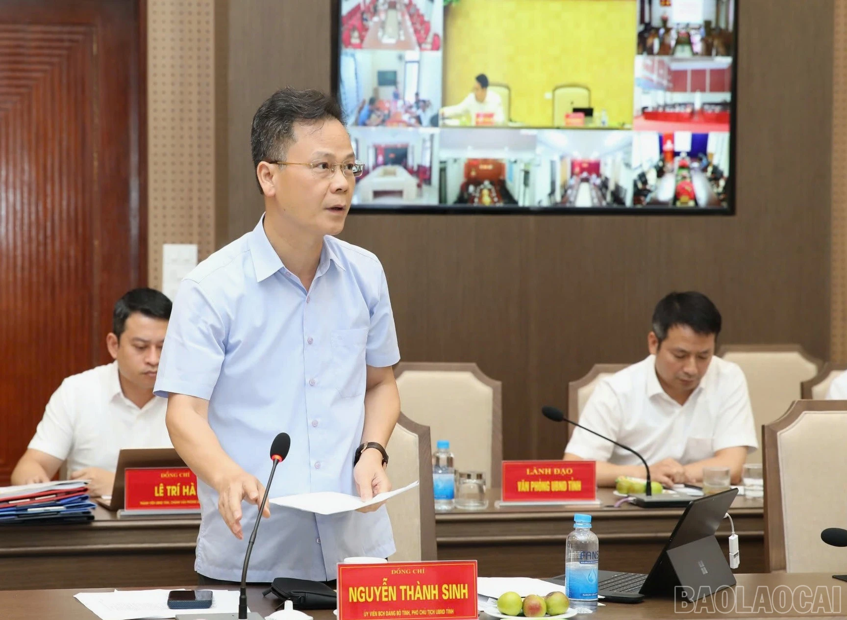 baolaocai-br_ong-sinh-lay.jpg