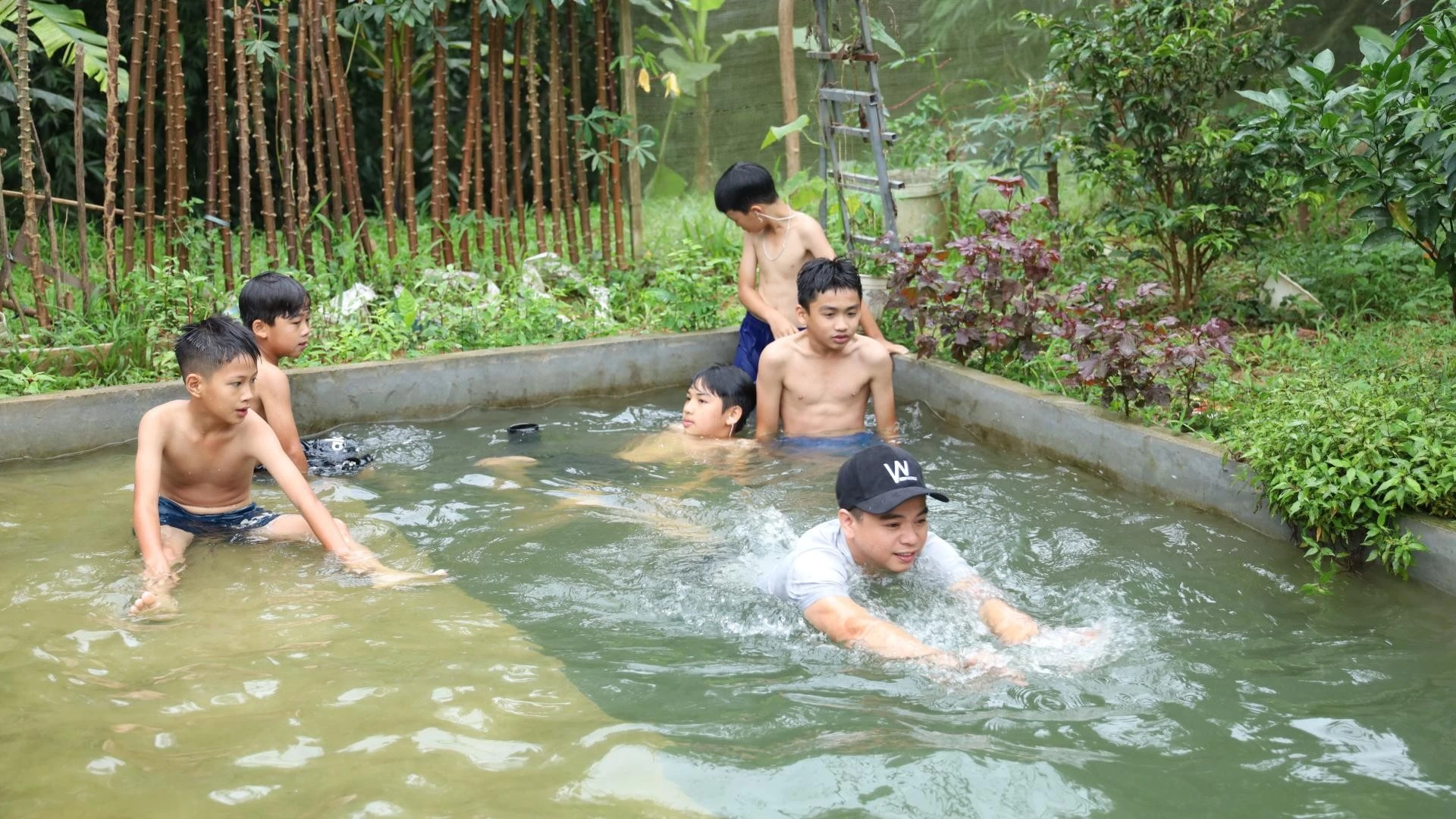 5-lay.jpg