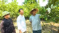 Lục Yên: Các thôn mới nhanh chóng đi vào hoạt động ổn định