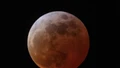 Cơ hội cuối cùng chiêm ngưỡng "Trăng máu" cho đến năm 2028