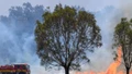 Australia đối mặt với nguy cơ cháy rừng nghiêm trọng