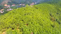 Lào Cai phấn đấu đến năm 2023, tổng giá trị ngành hàng dược liệu sau chế biến đạt trên 2.000 tỷ đồng