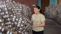 Lào Cai mở rộng diện tích dâu tằm