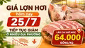Giá lợn hơi hôm nay 25/7: Tiếp tục giảm ở nhiều địa phương, Lào Cai giữ mức 64.000 đồng/kg