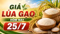 Giá lúa gạo ngày 25/7: Thị trường ít biến động, gạo Đài thơm tăng 500 đồng/kg