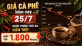 Giá cà phê hôm nay 25/7: Giảm phiên thứ ba liên tiếp, mất tới 1.800 đồng/kg