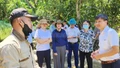 Cục Chăn nuôi và Thú y kiểm tra công tác phòng, chống dịch tả lợn châu Phi tại Lào Cai