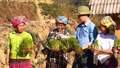 Lào Cai: Chủ động sản xuất và cung ứng nguồn giống chất lượng