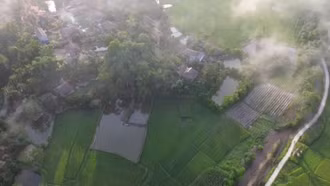 Bản Tày xanh ngát mùa mây