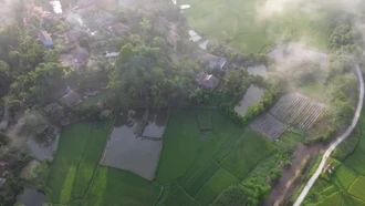 Bản Tày xanh ngát mùa mây