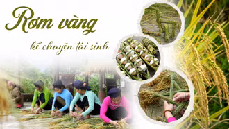 Rơm vàng kể chuyện tái sinh