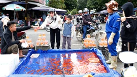 Nhộn nhịp thị trường cá chép đỏ