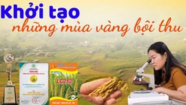 Khởi tạo những mùa vàng bội thu