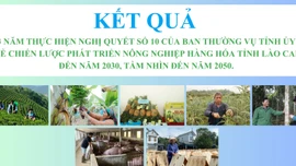 [Infographic] Kết quả nổi bật sau 3 năm triển khai Nghị quyết 10 của Ban Thường vụ Tỉnh ủy