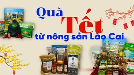 Quà Tết từ nông sản Lào Cai