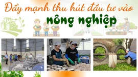 Đẩy mạnh thu hút đầu tư vào nông nghiệp