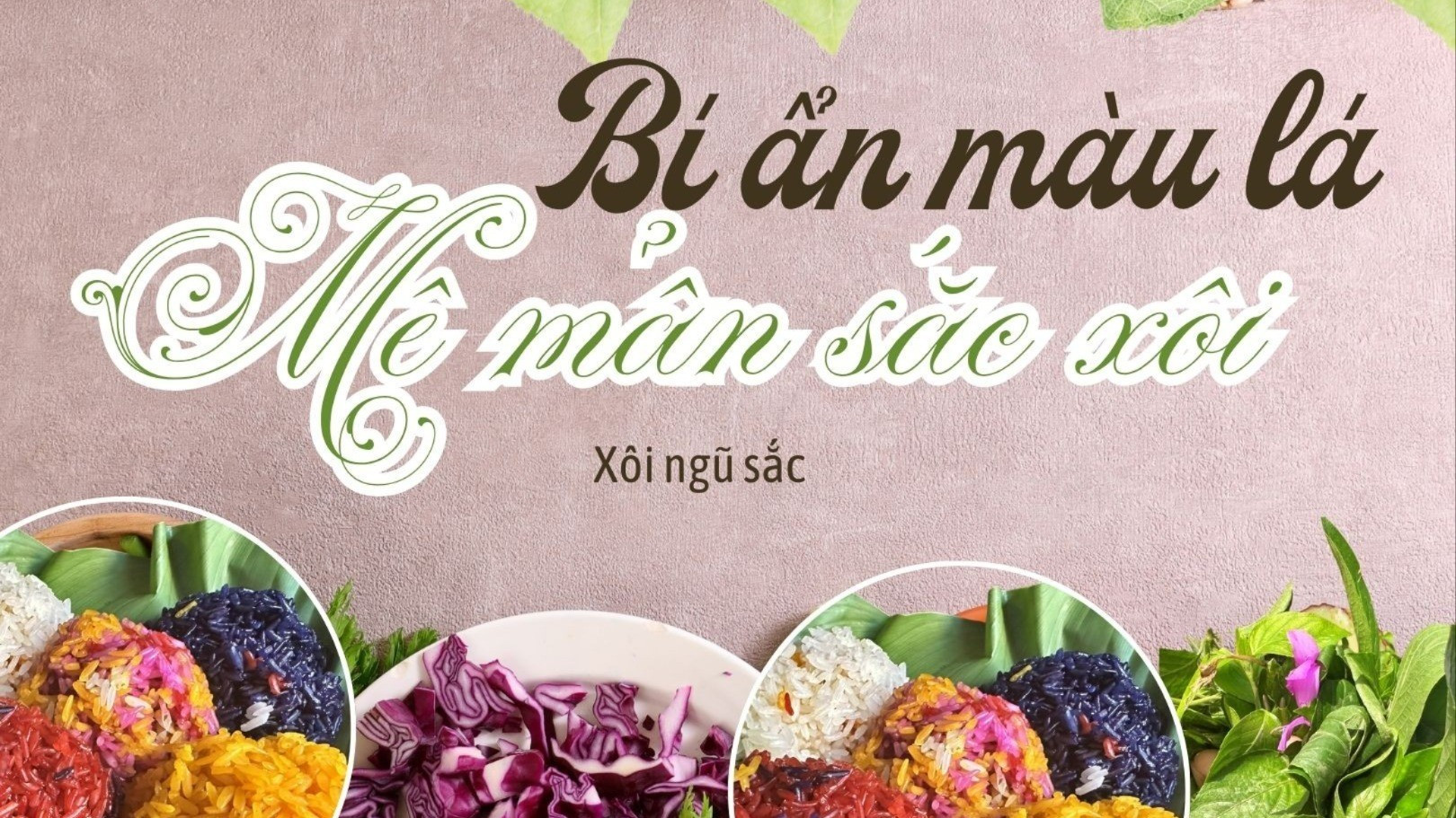 Bí ẩn màu lá, mê mẩn sắc xôi