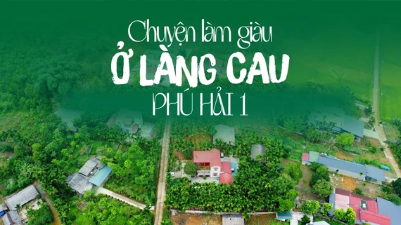 Chuyện làm giàu ở làng cau Phú Hải 1