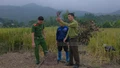 Xã Cốc San: Phát hiện, xử lý nhóm người dân giăng bẫy bắt chim di cư