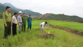 Cần giải pháp hiệu quả hơn để bảo vệ chim di cư