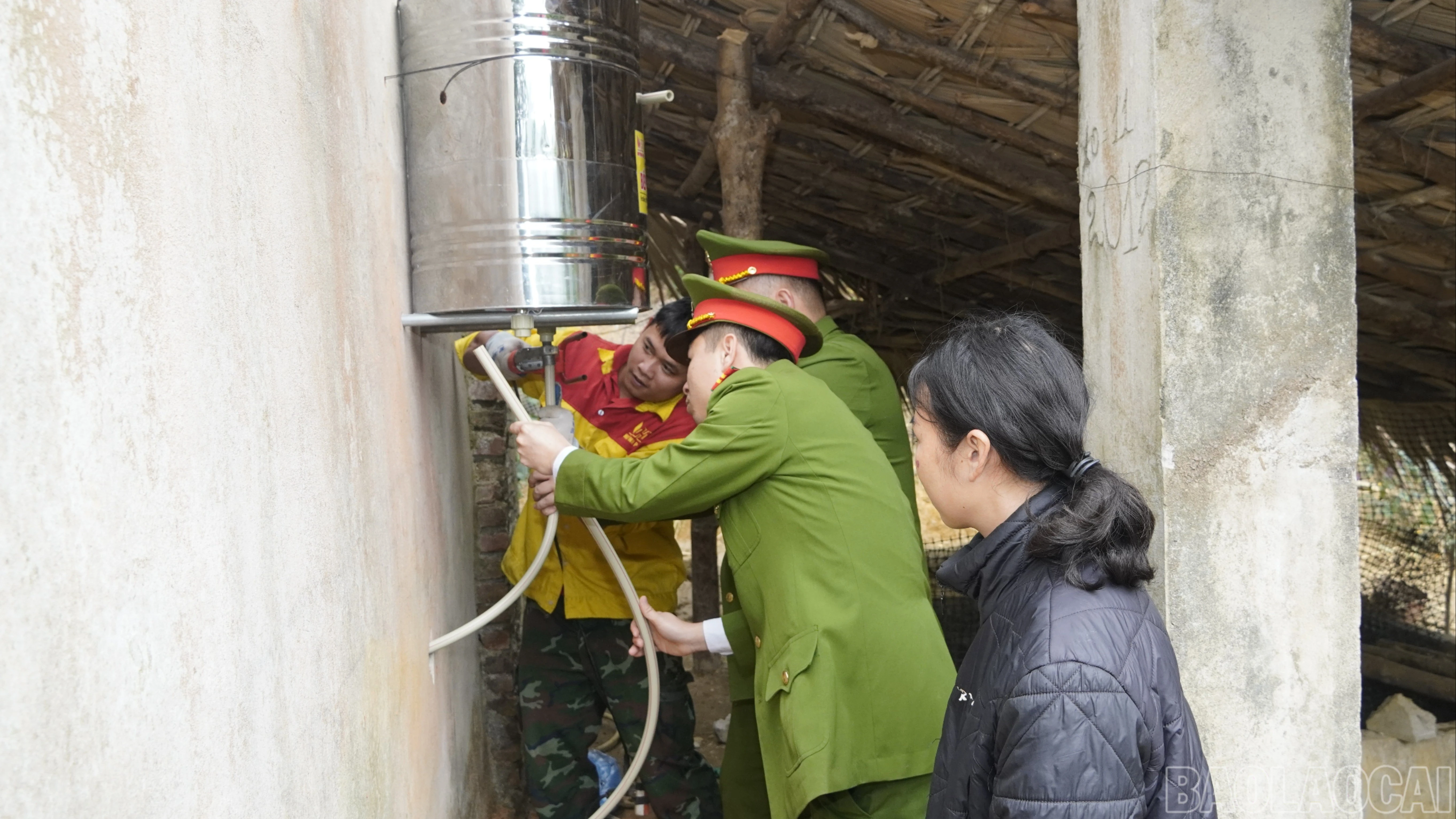 baolaocai-br_8-6927.jpg