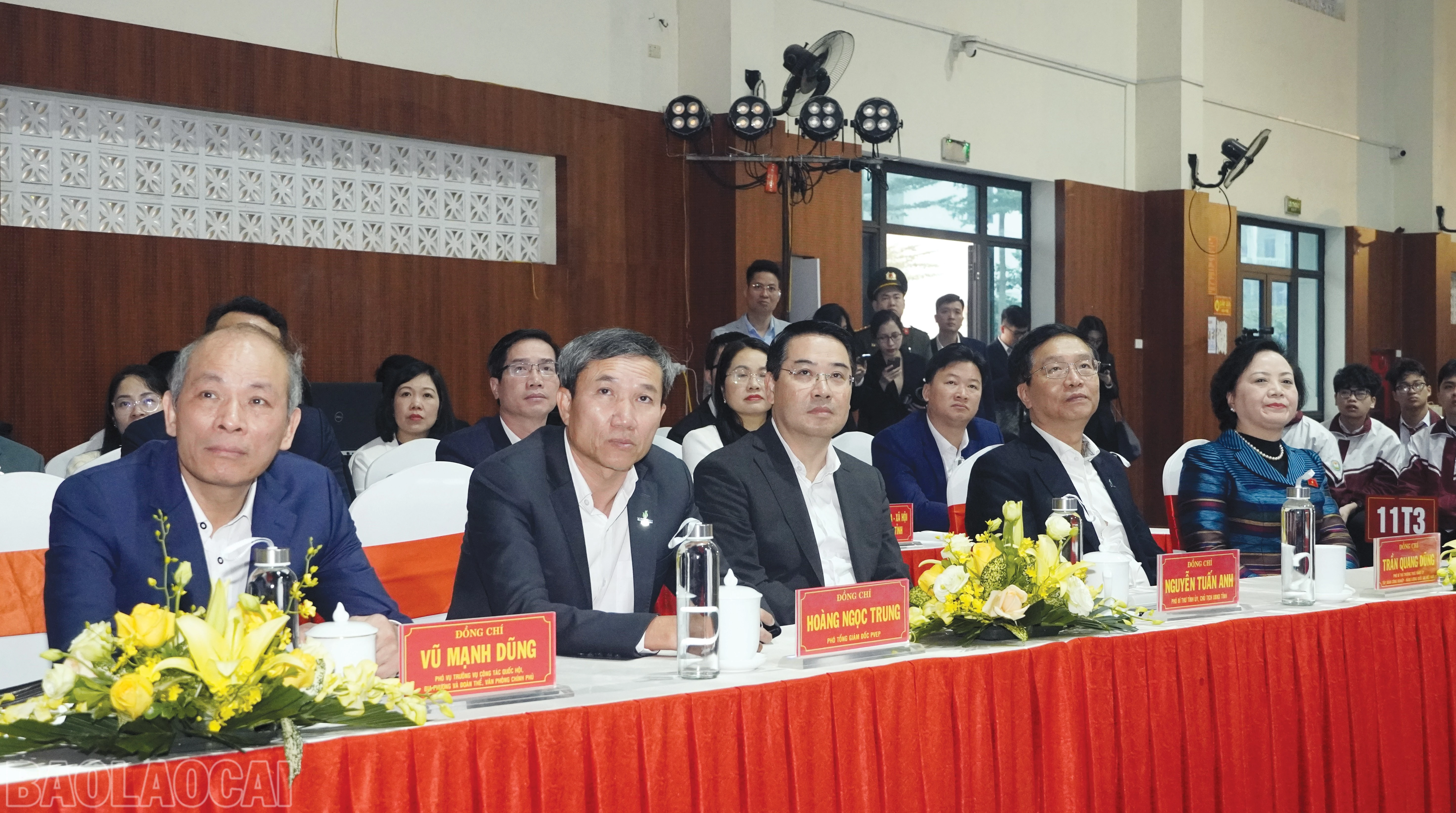 baolaocai-bl_10.jpg