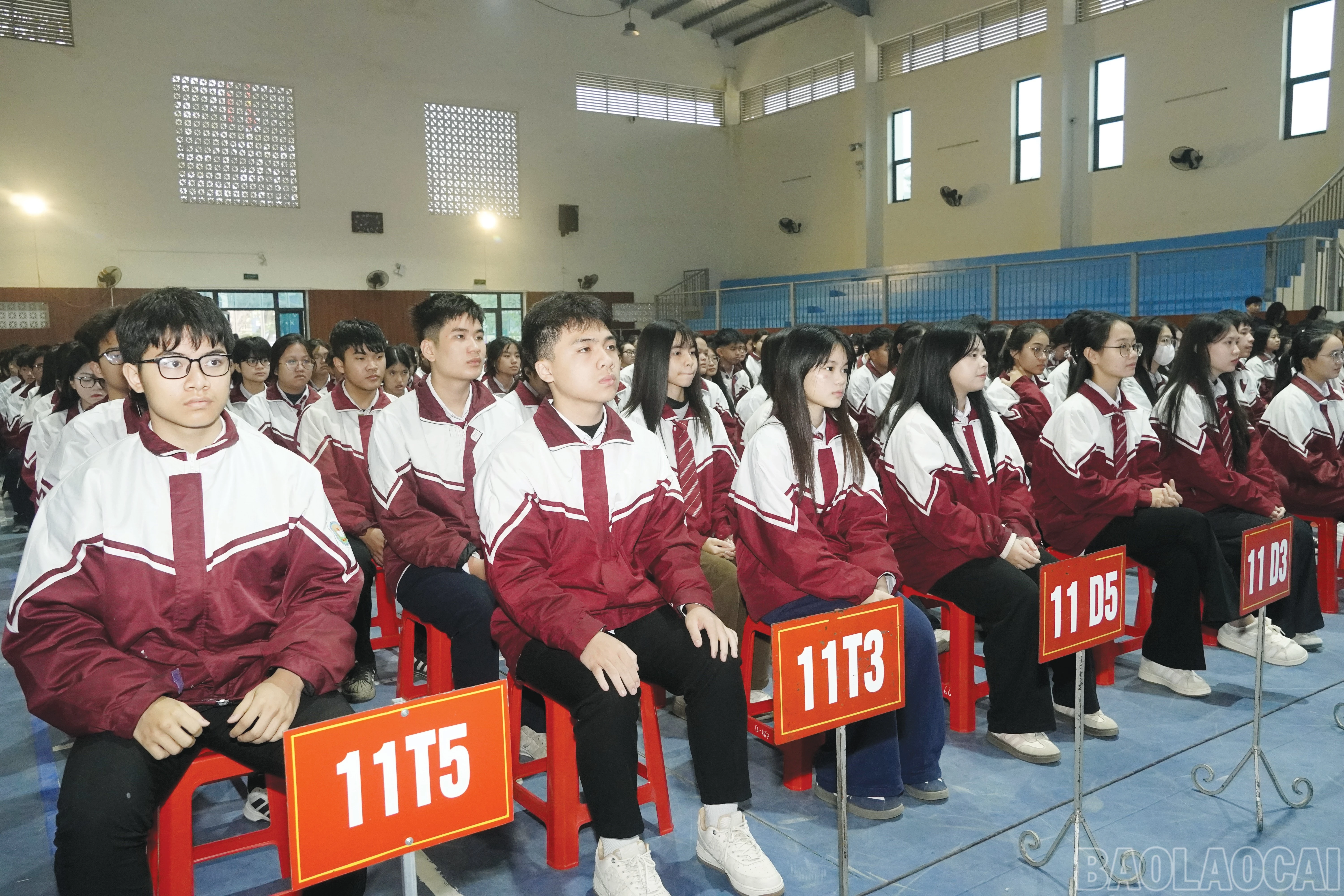 baolaocai-br_8.jpg