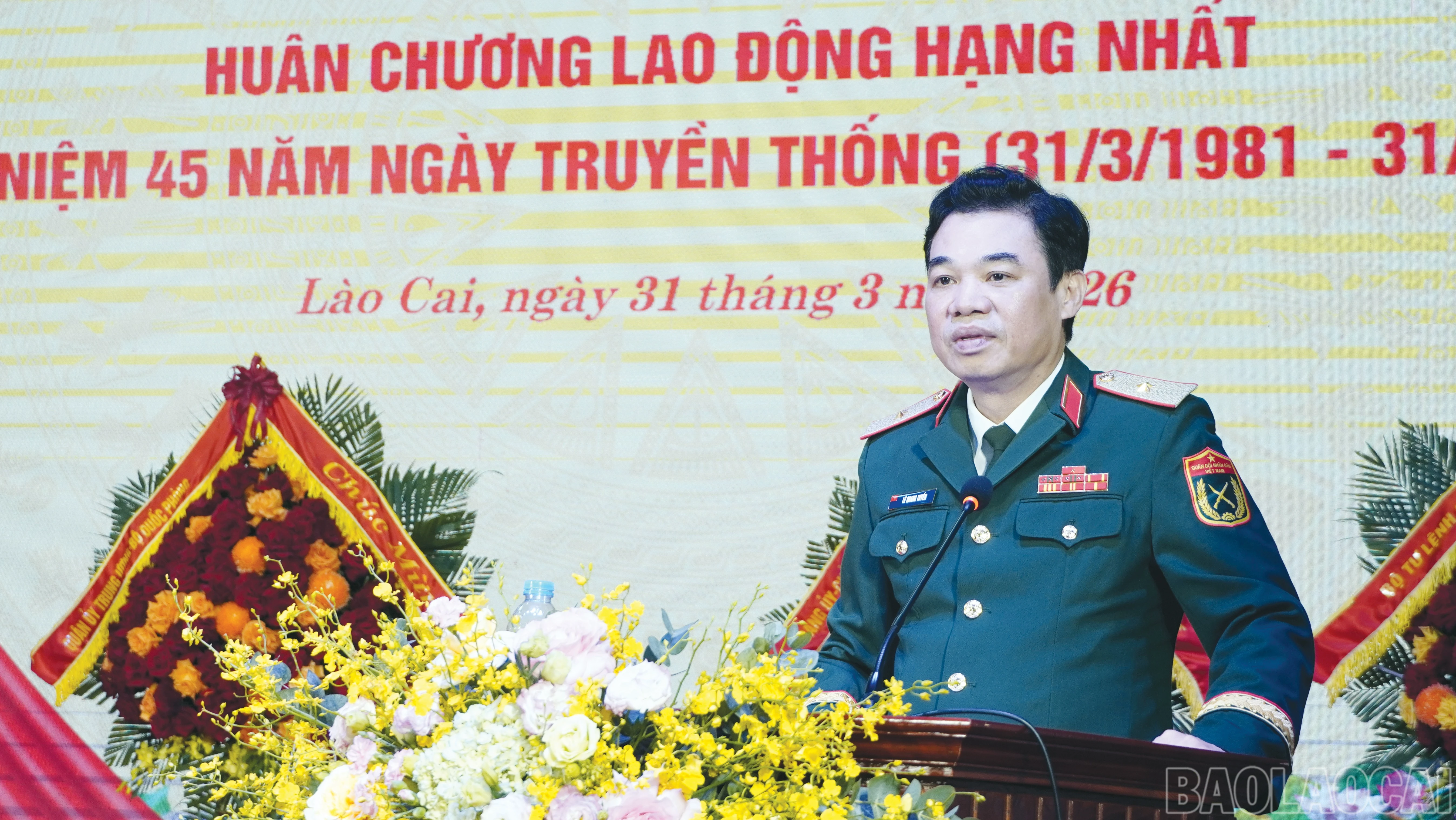 baolaocai-br_3-7177.png