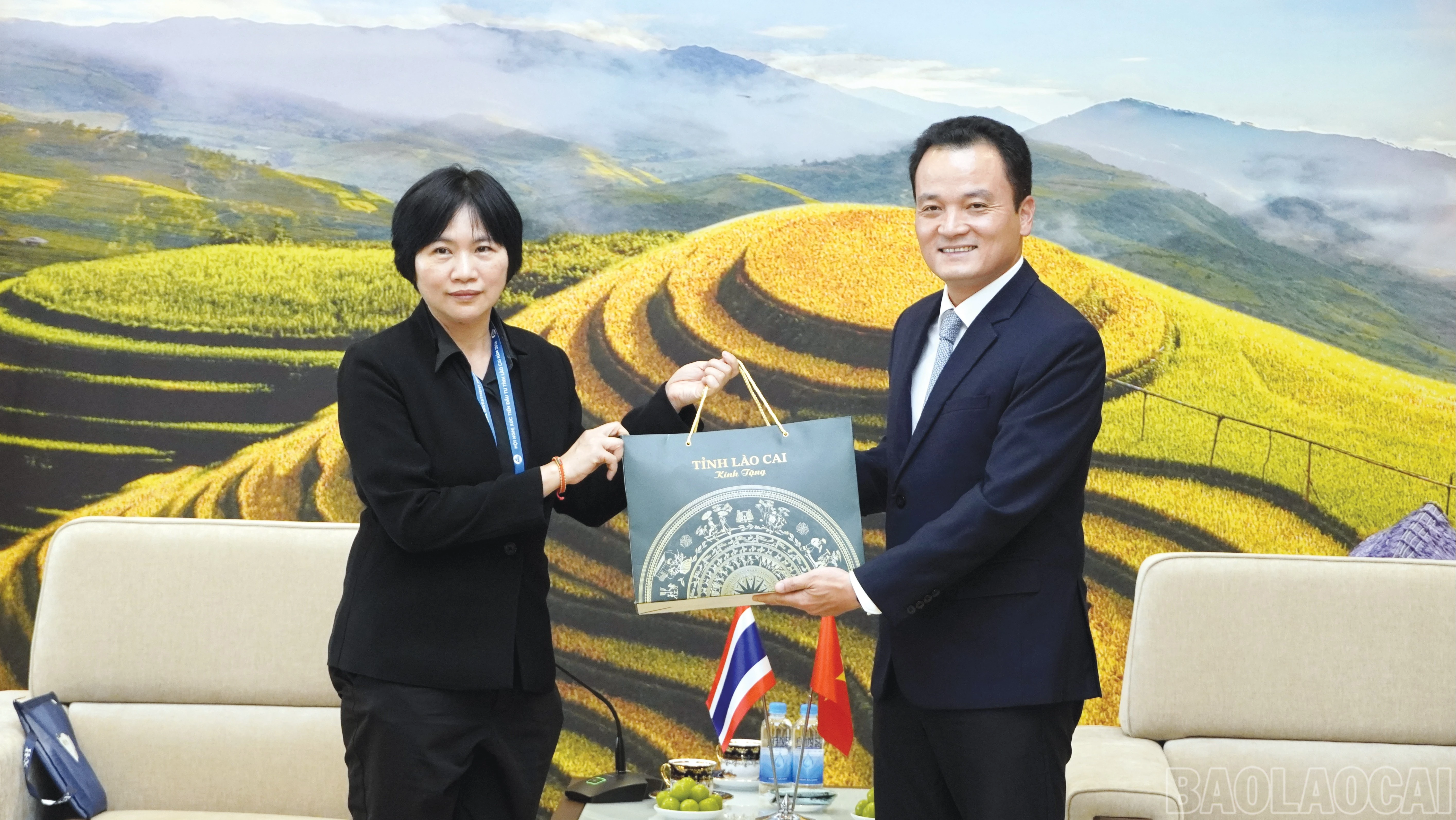 baolaocai-br_2-4776.jpg