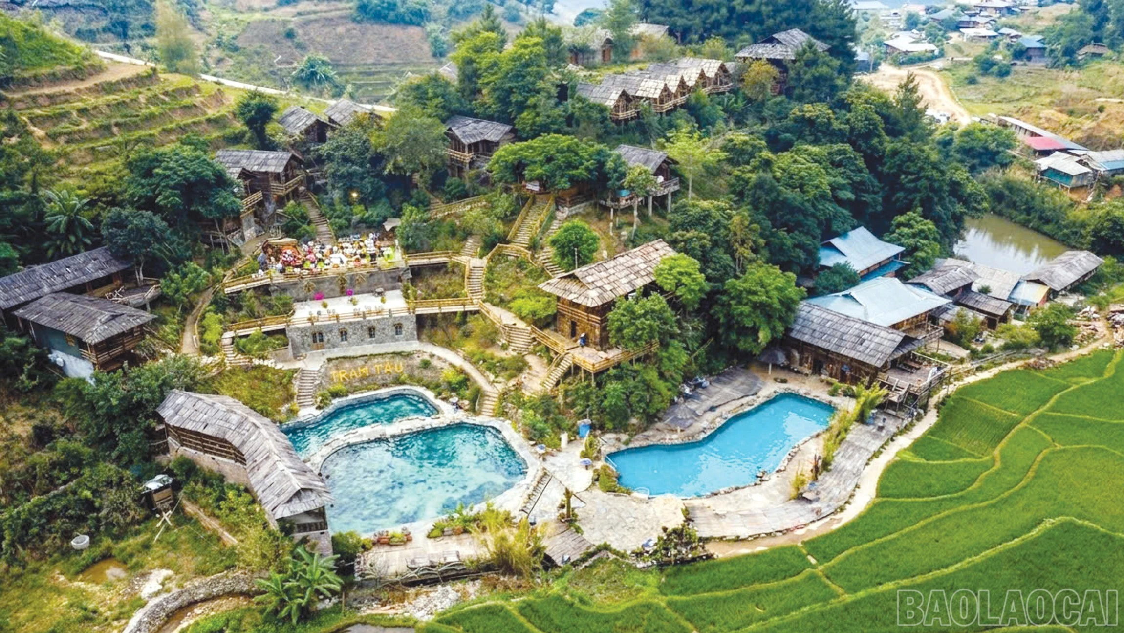 baolaocai-br_4-3572.jpg