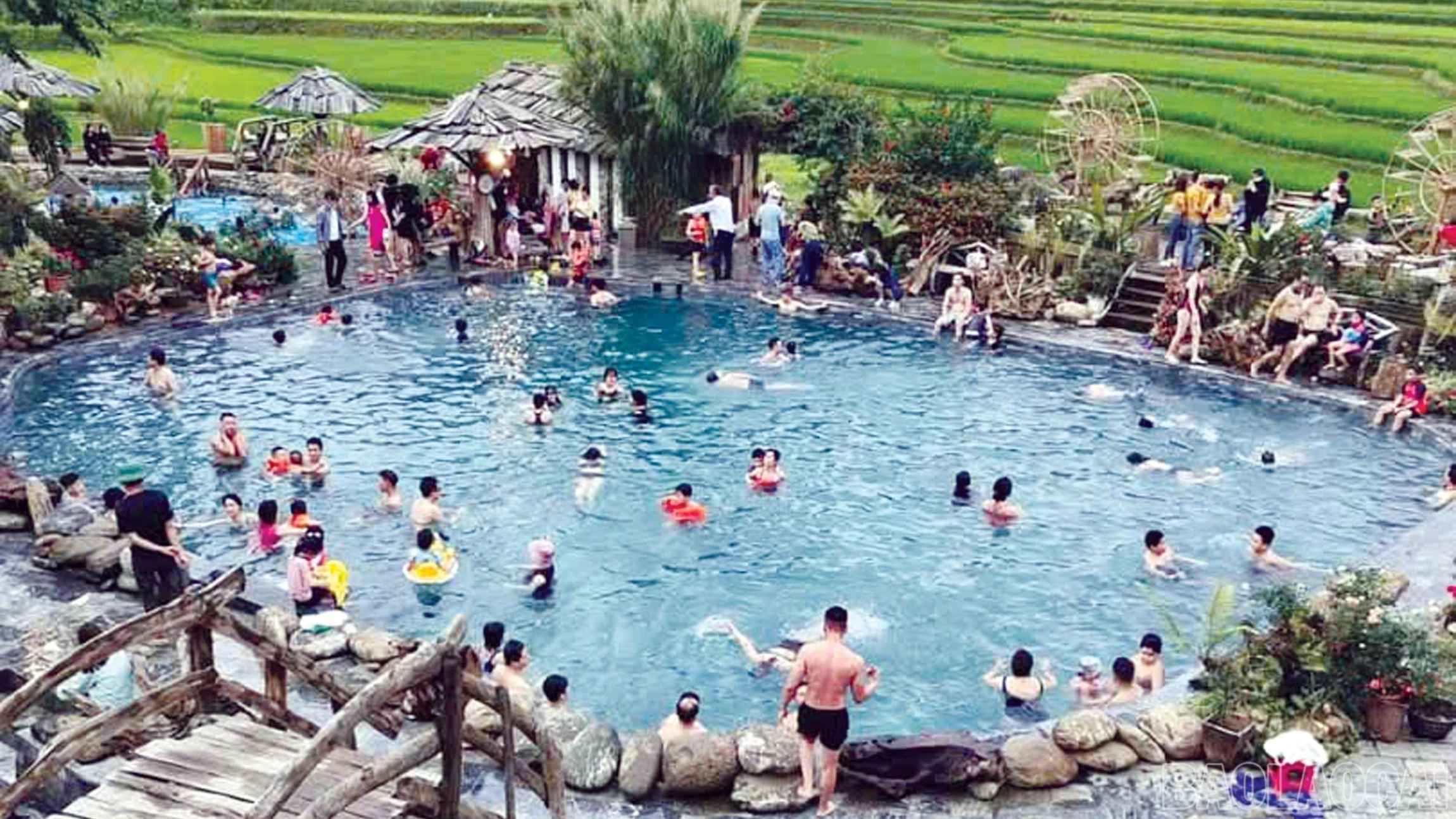 baolaocai-br_3-7475.jpg