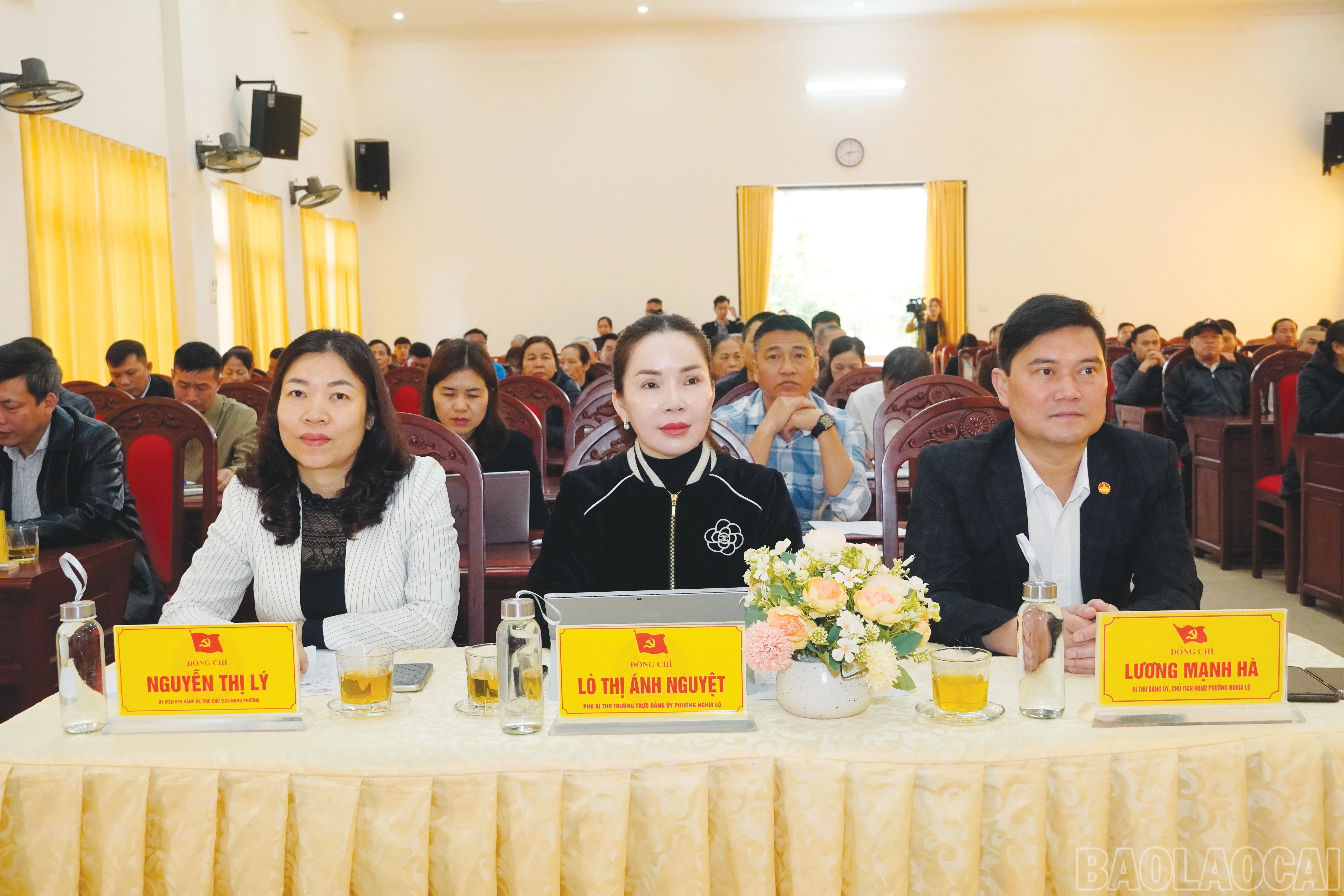 baolaocai-br_12.jpg