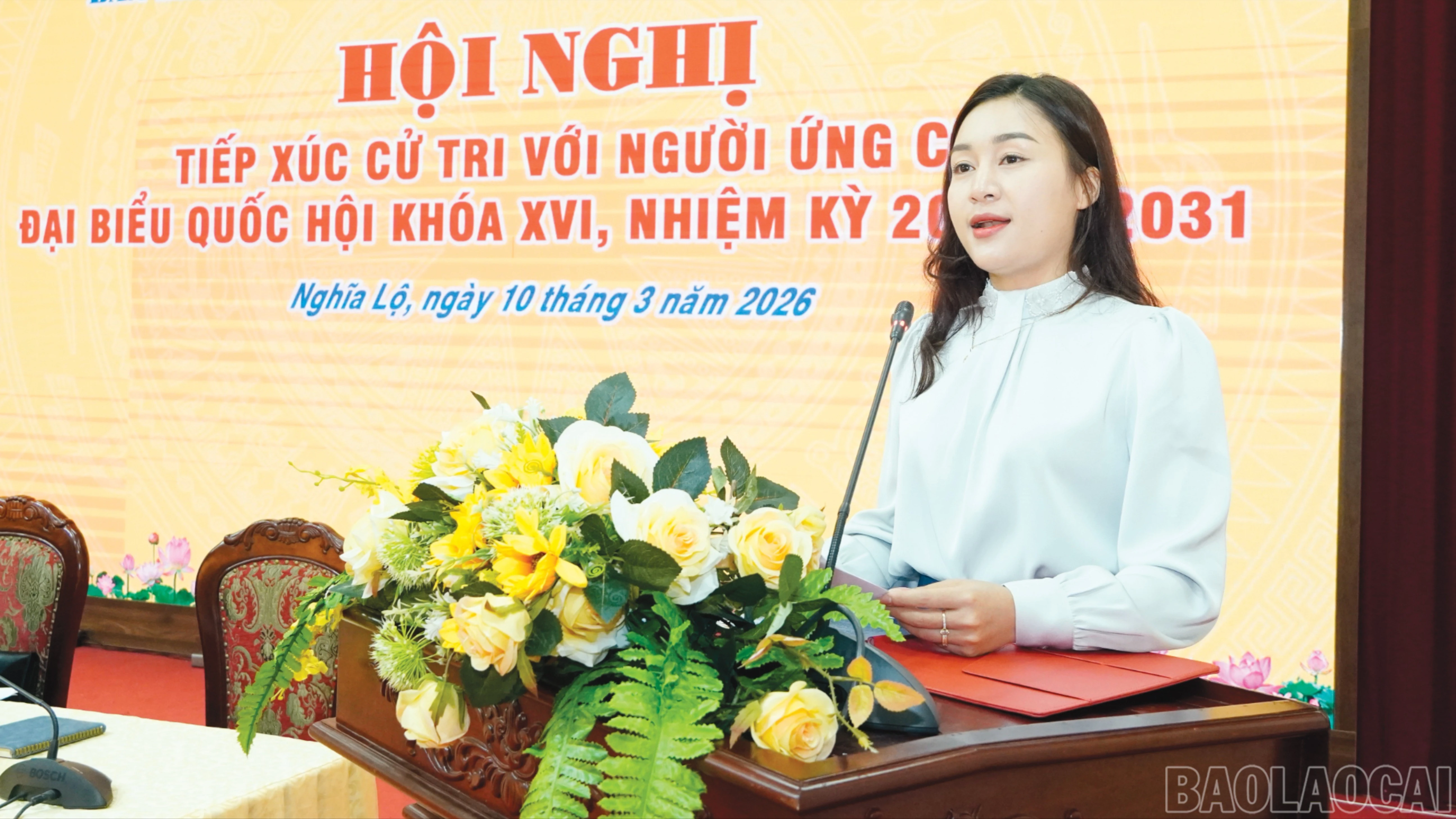 baolaocai-br_5-9943.jpg