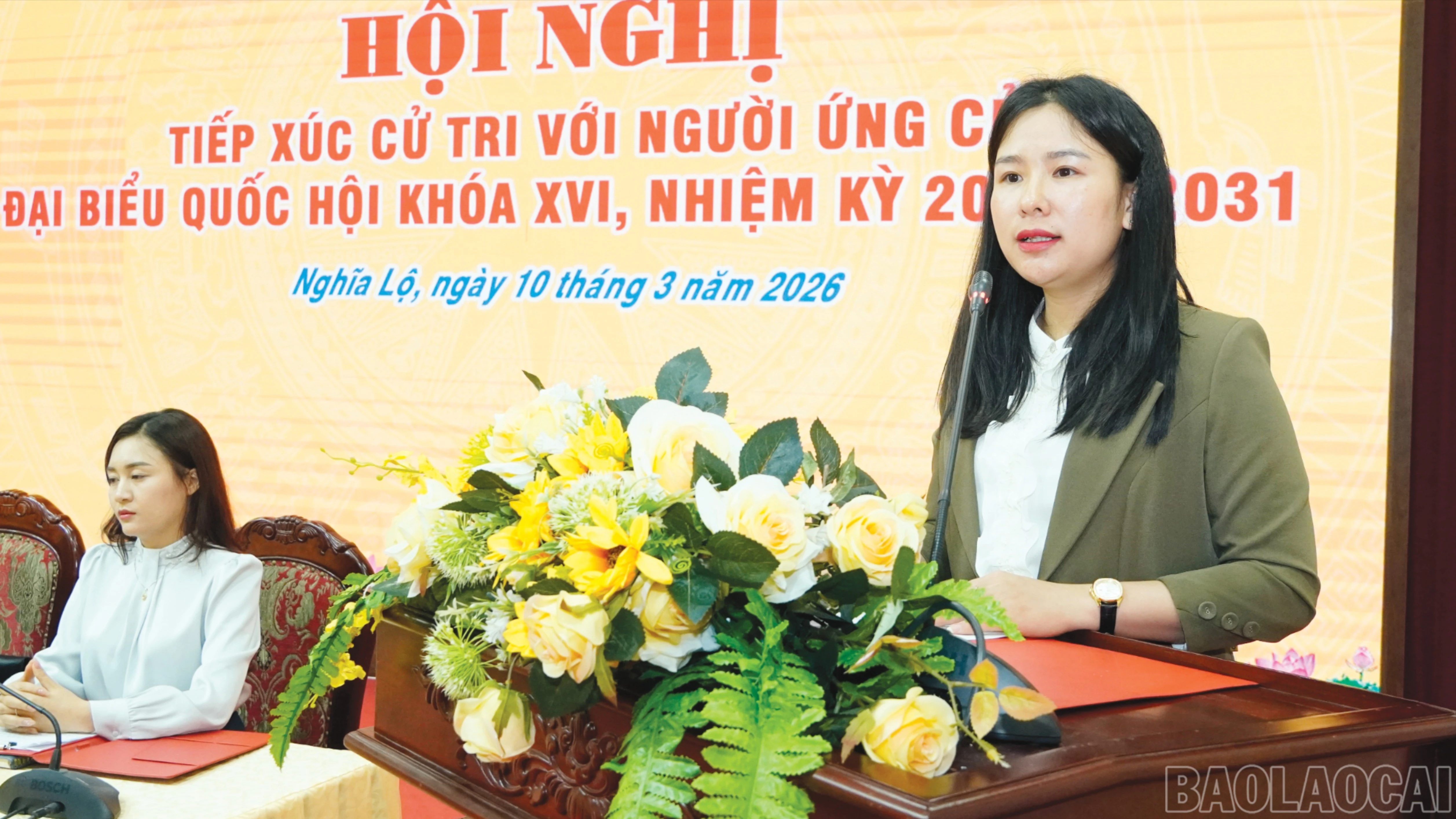 baolaocai-br_3-5041.jpg