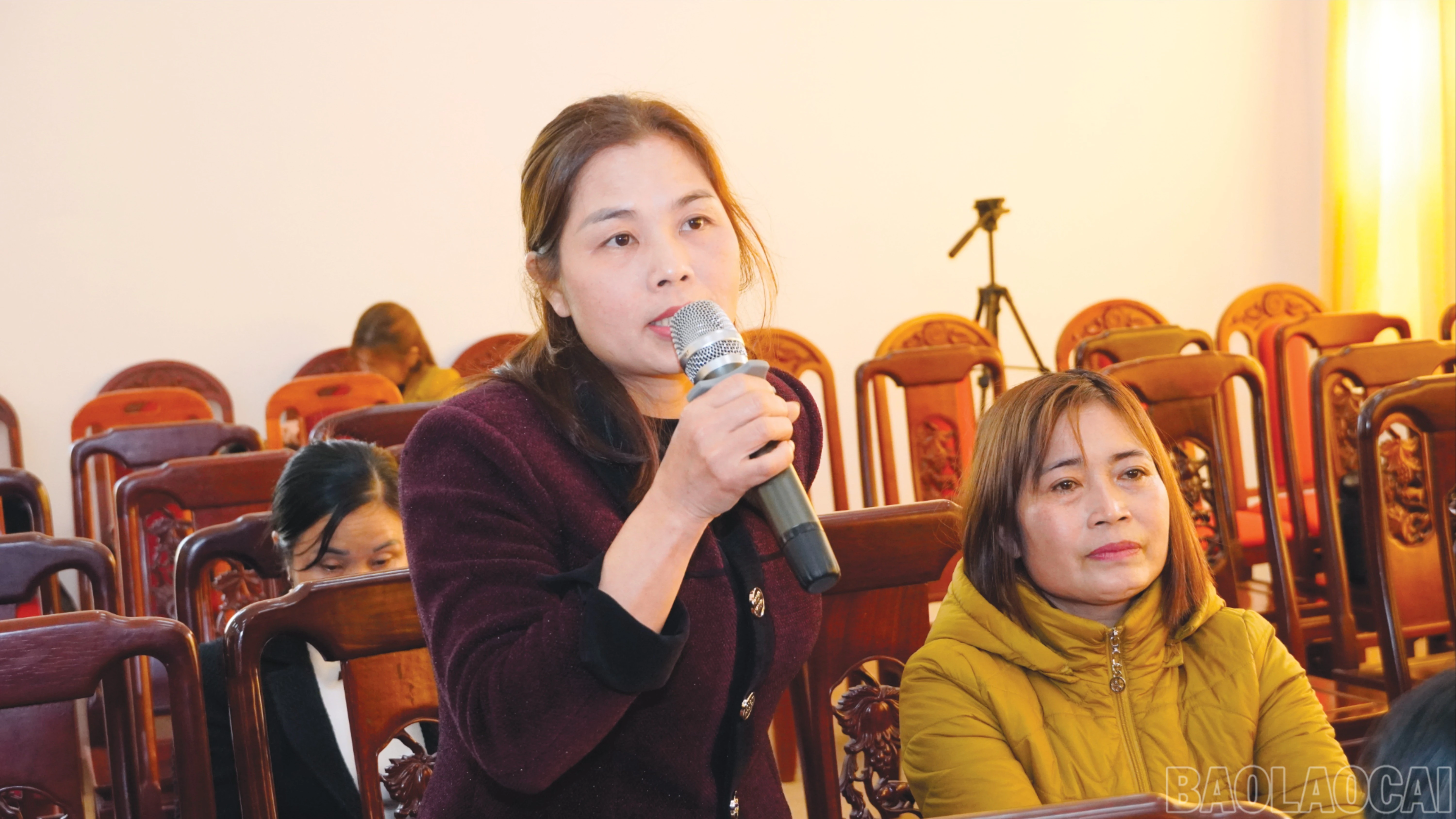 baolaocai-br_14-4585.jpg