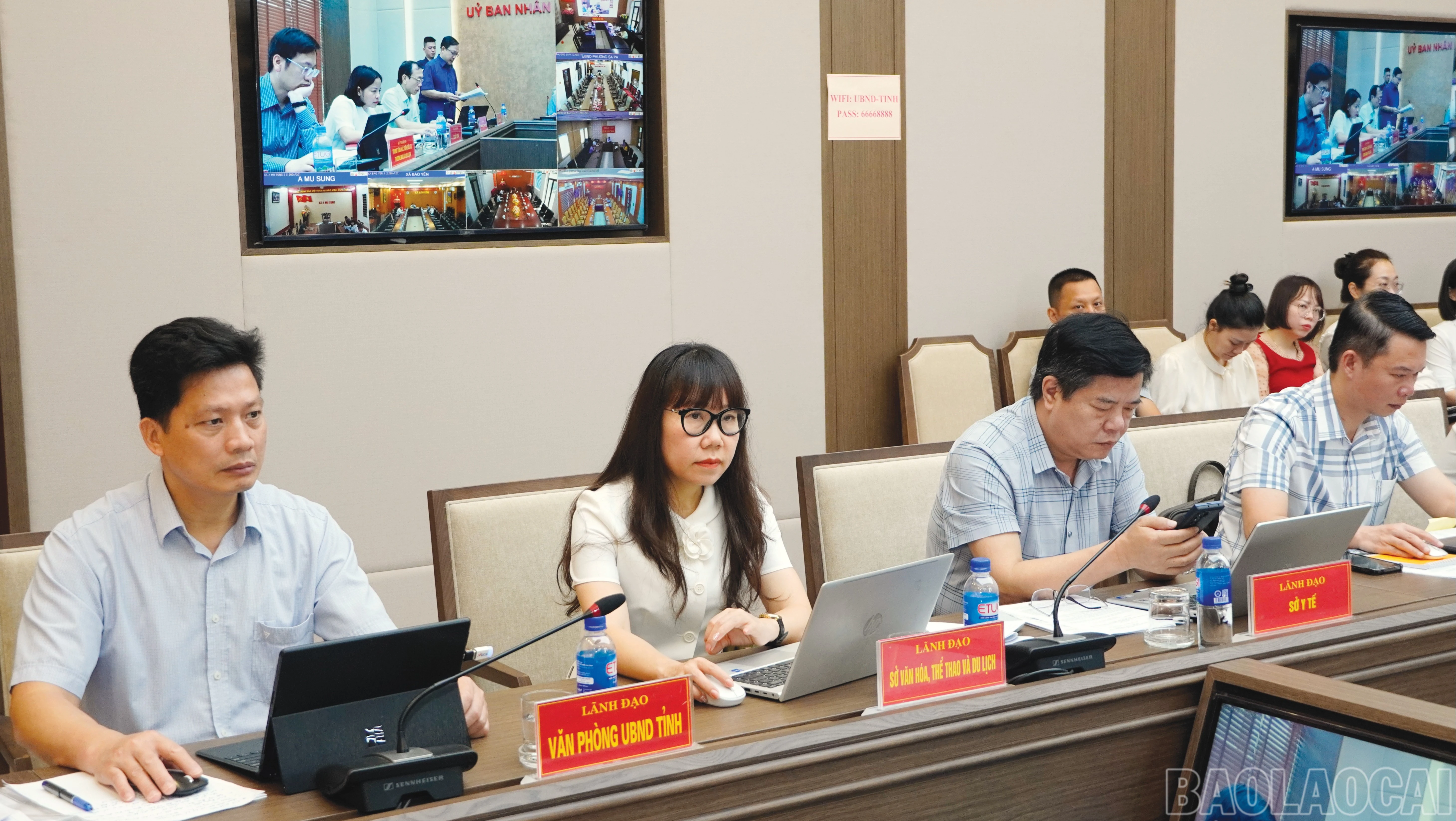 baolaocai-br_5-8069.jpg