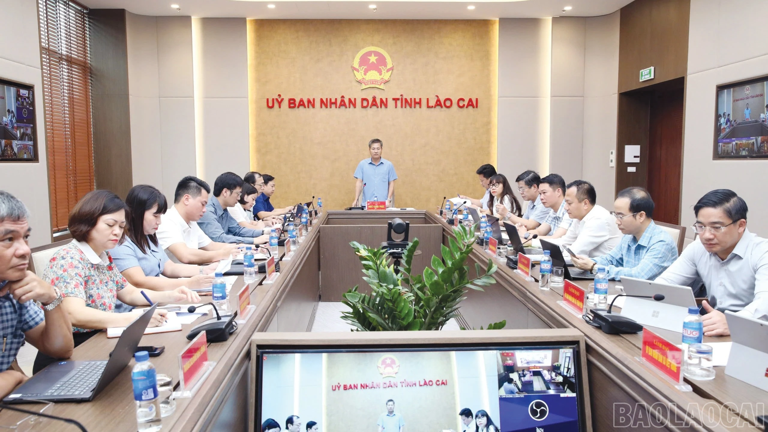 baolaocai-br_8-4772.jpg