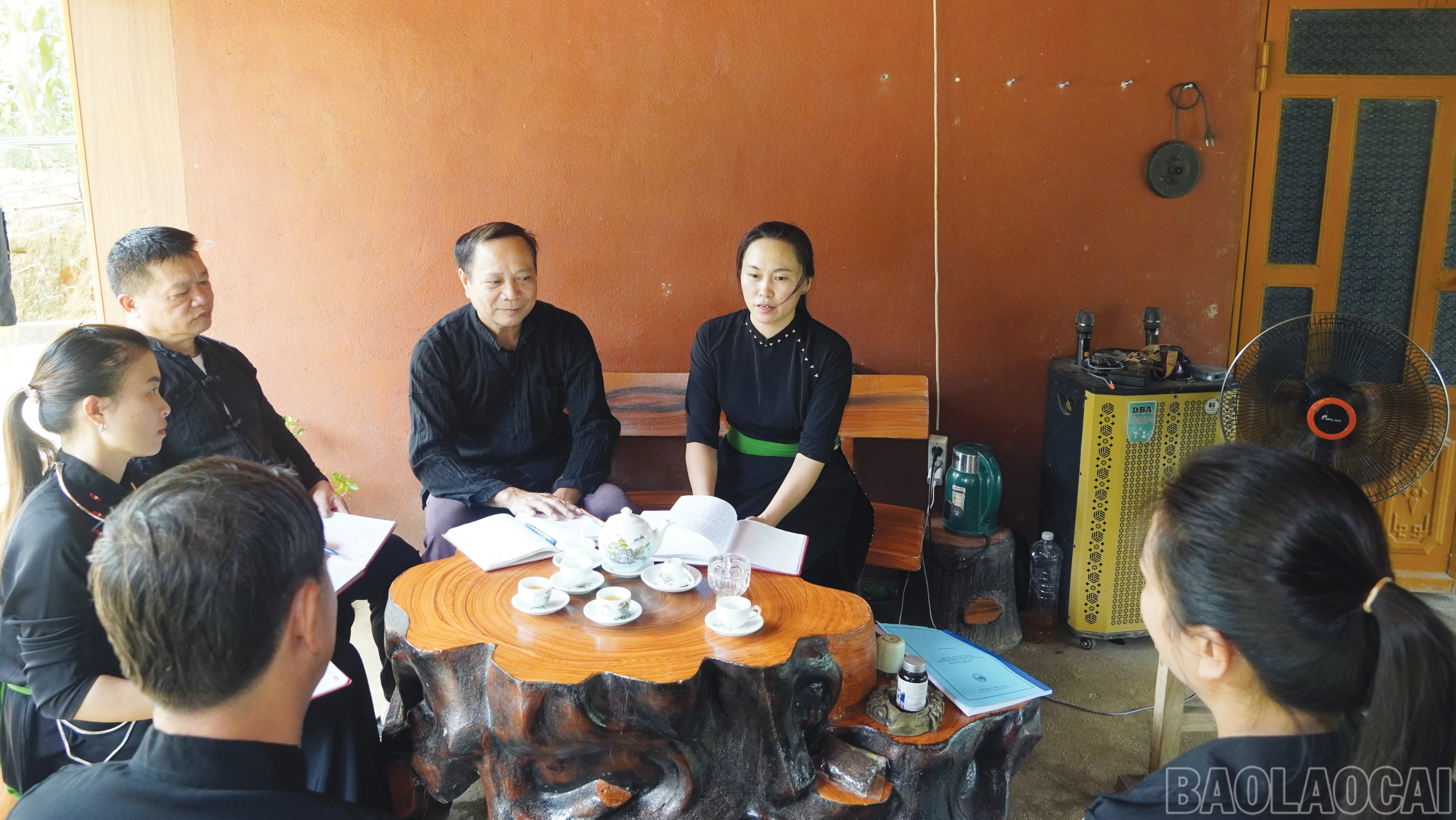baolaocai-br_3-2689-721.jpg