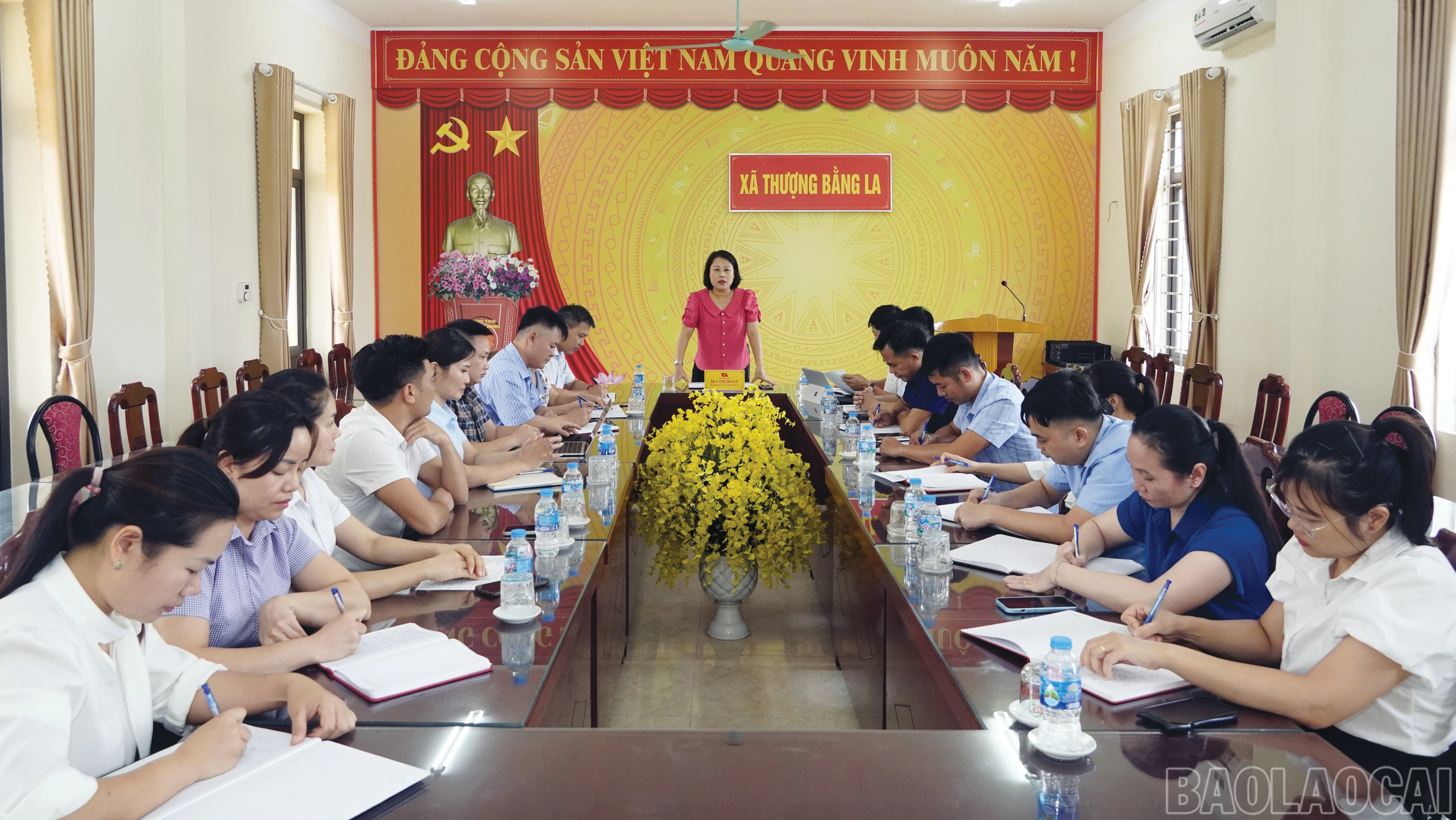 baolaocai-br_6-7581.jpg