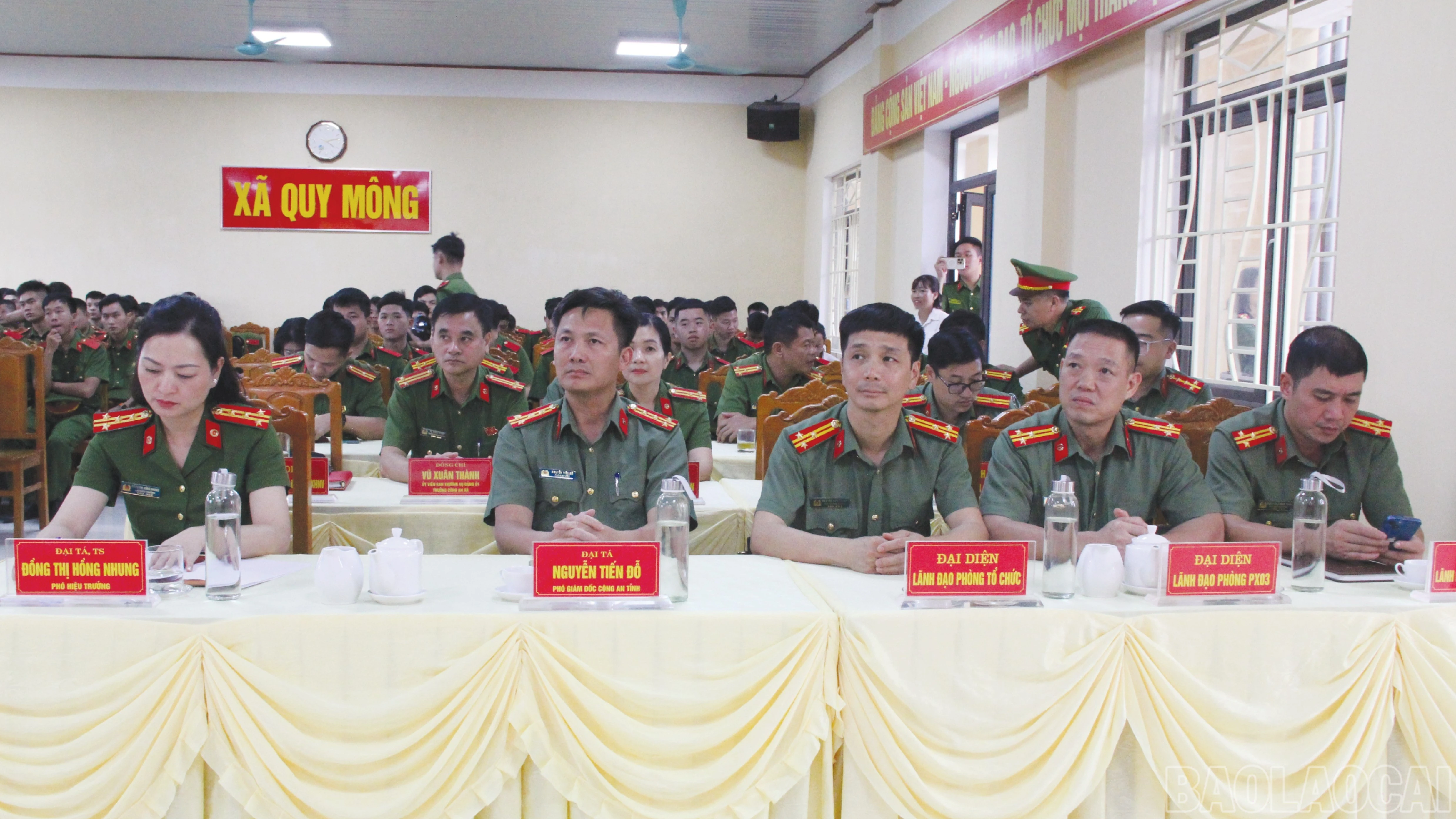 baolaocai-br_6-66.jpg