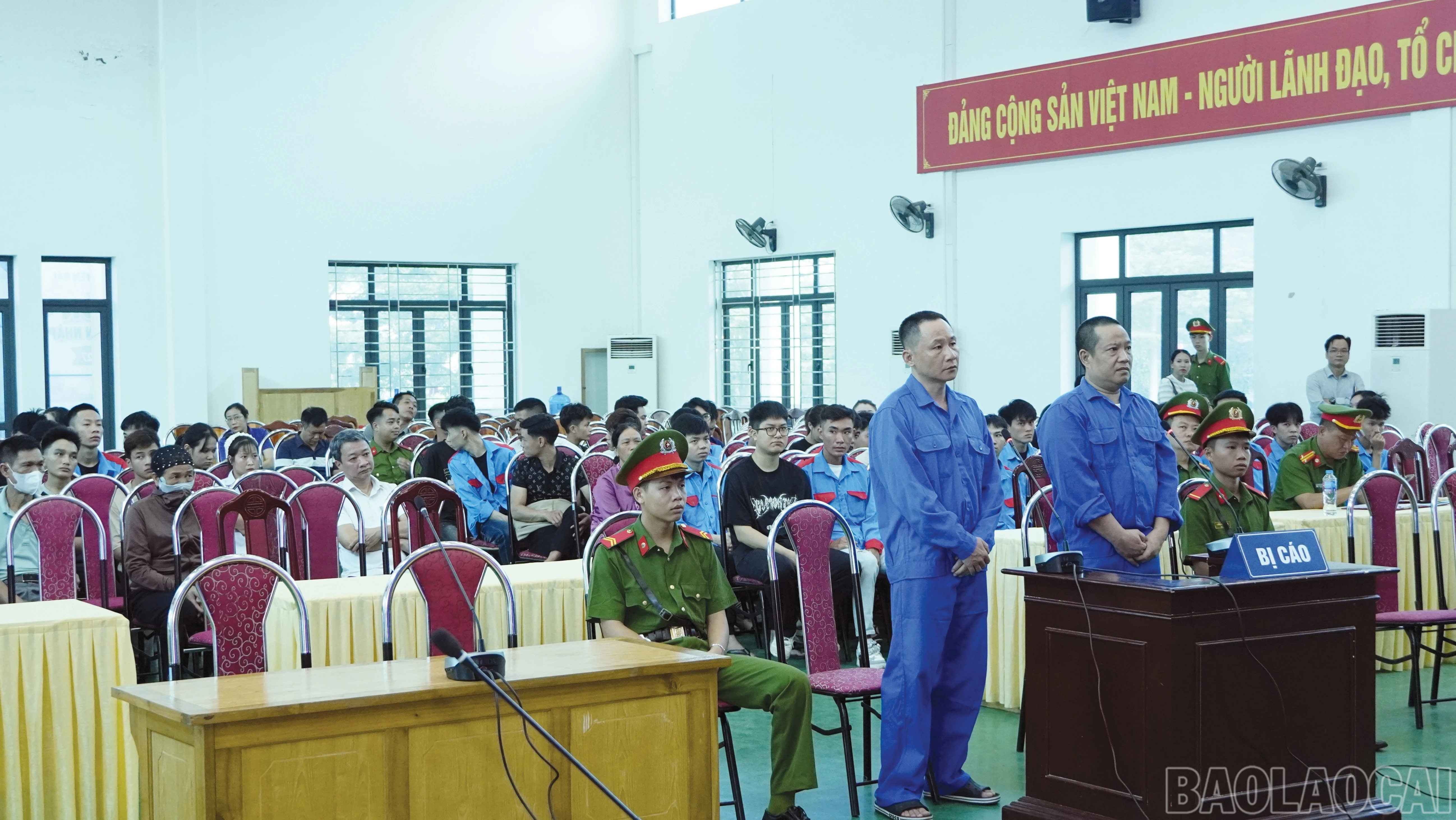 baolaocai-br_4-4792.jpg