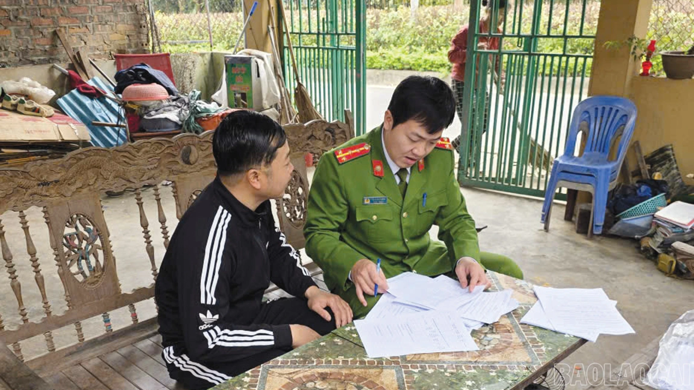 baolaocai-br_6-4446.jpg