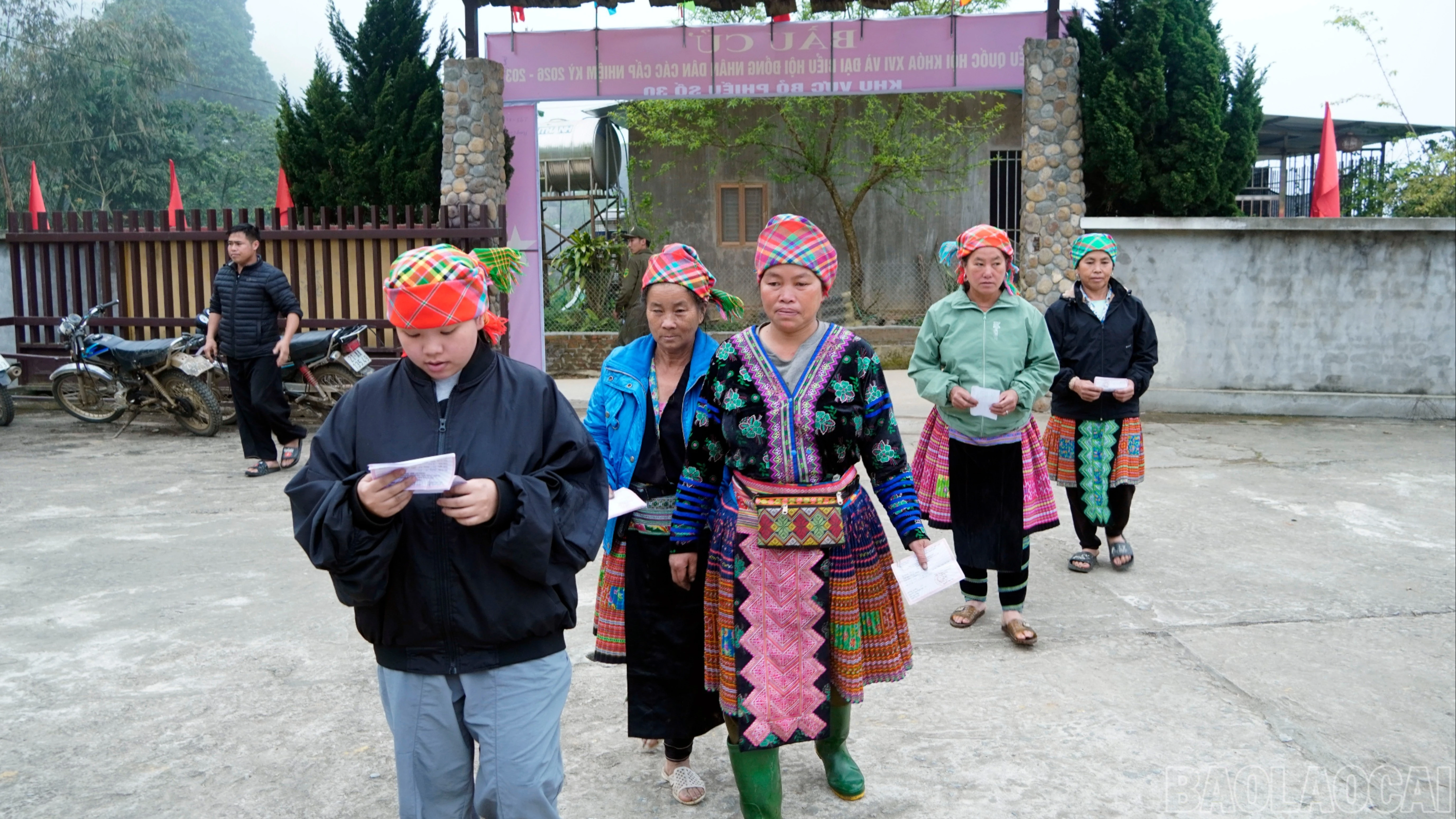 baolaocai-br_2-225.jpg
