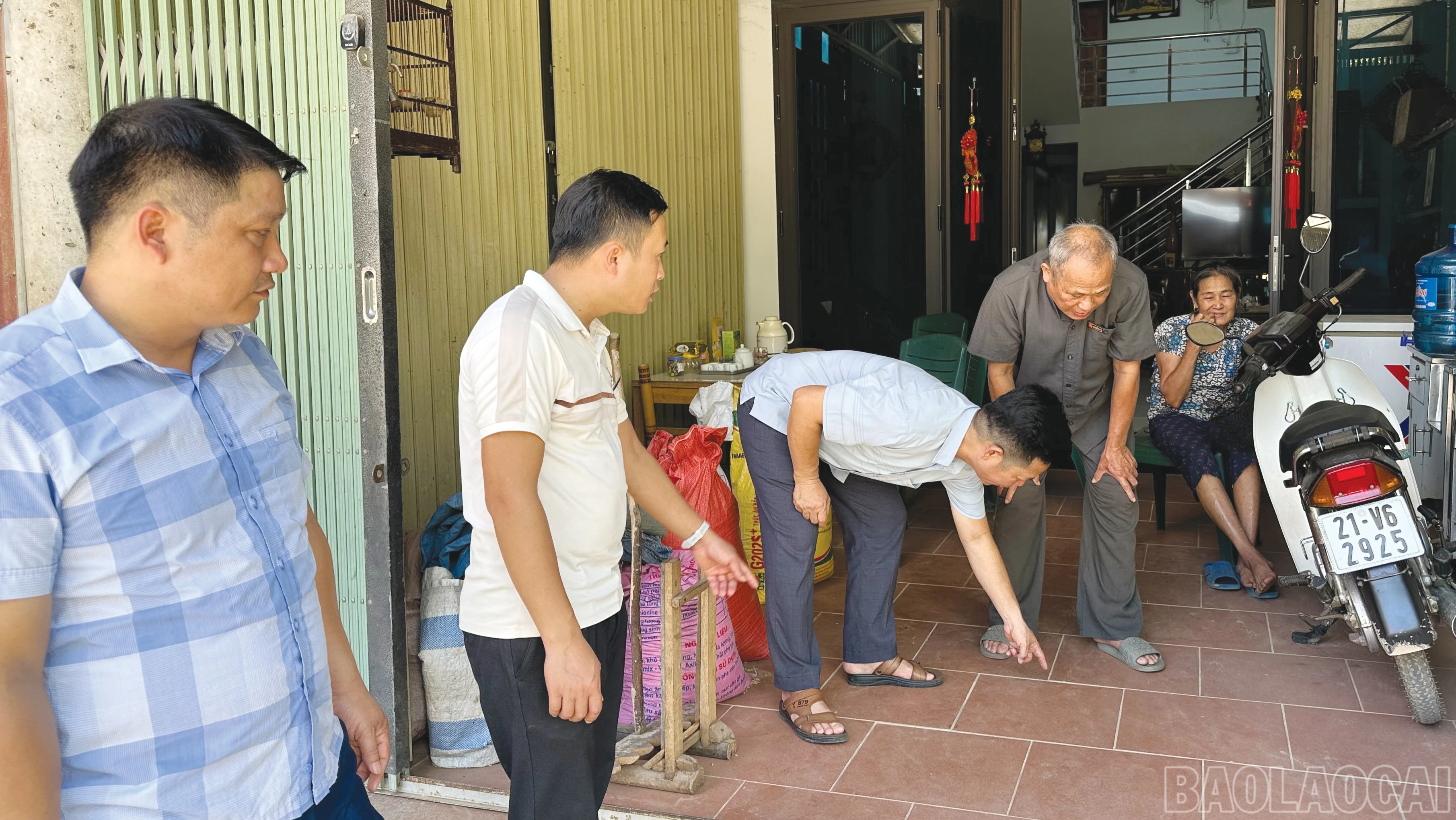 baolaocai-br_2-2541.jpg