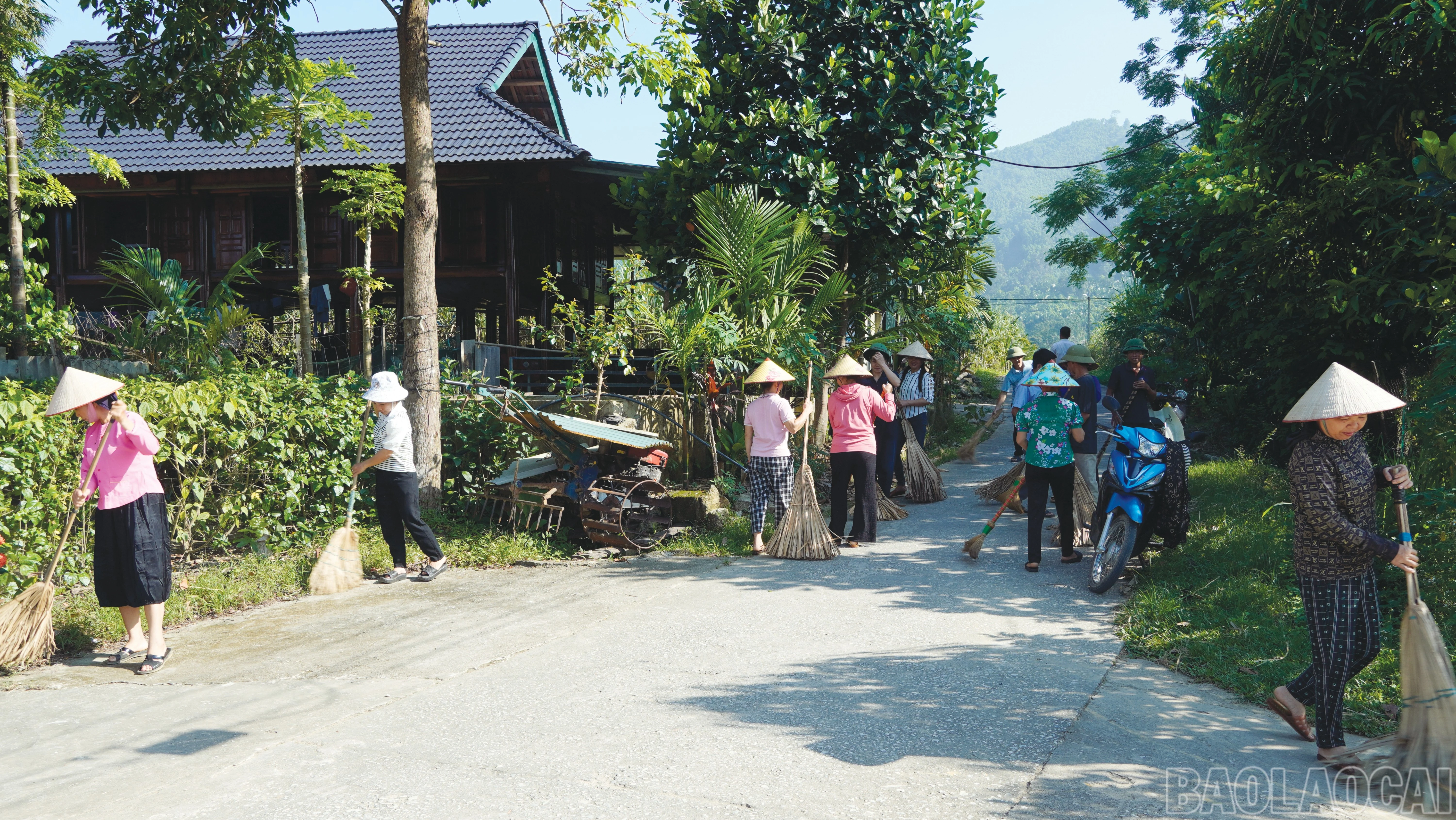 baolaocai-br_12-528.jpg
