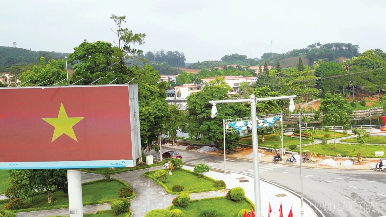 baolaocai-br_2-6414.jpg