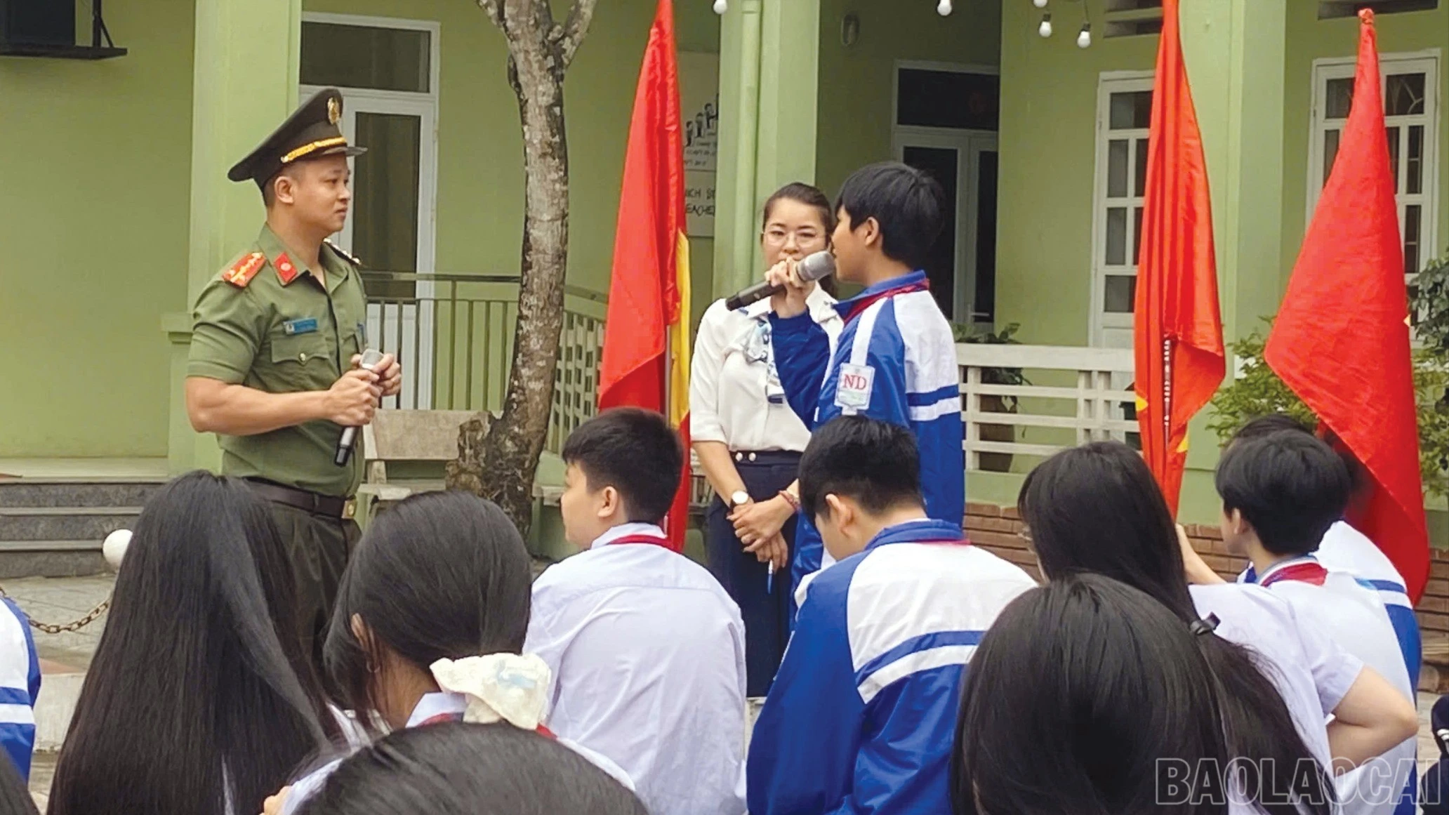 baolaocai-br_6-729.jpg