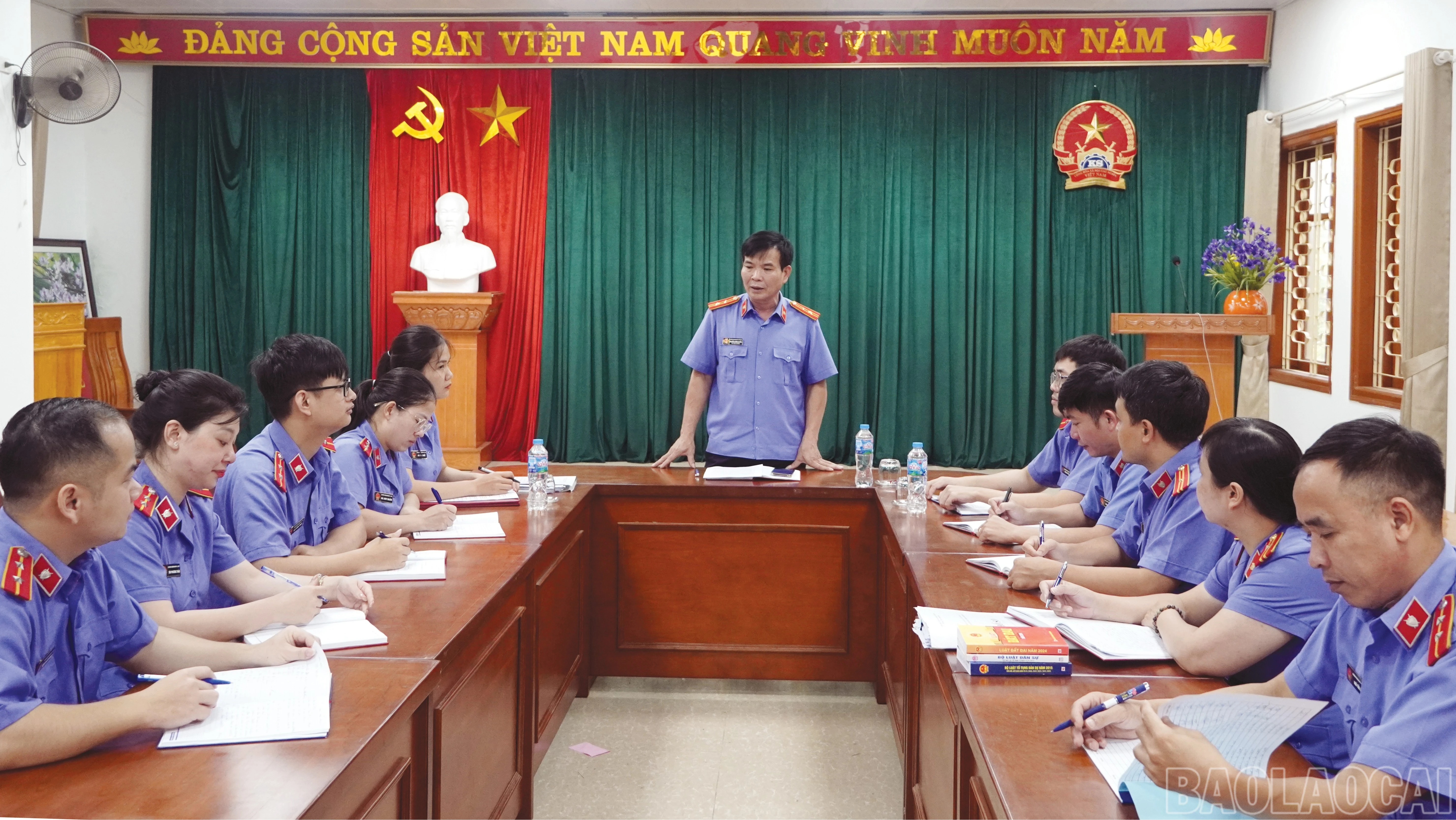 baolaocai-br_555-1433.jpg
