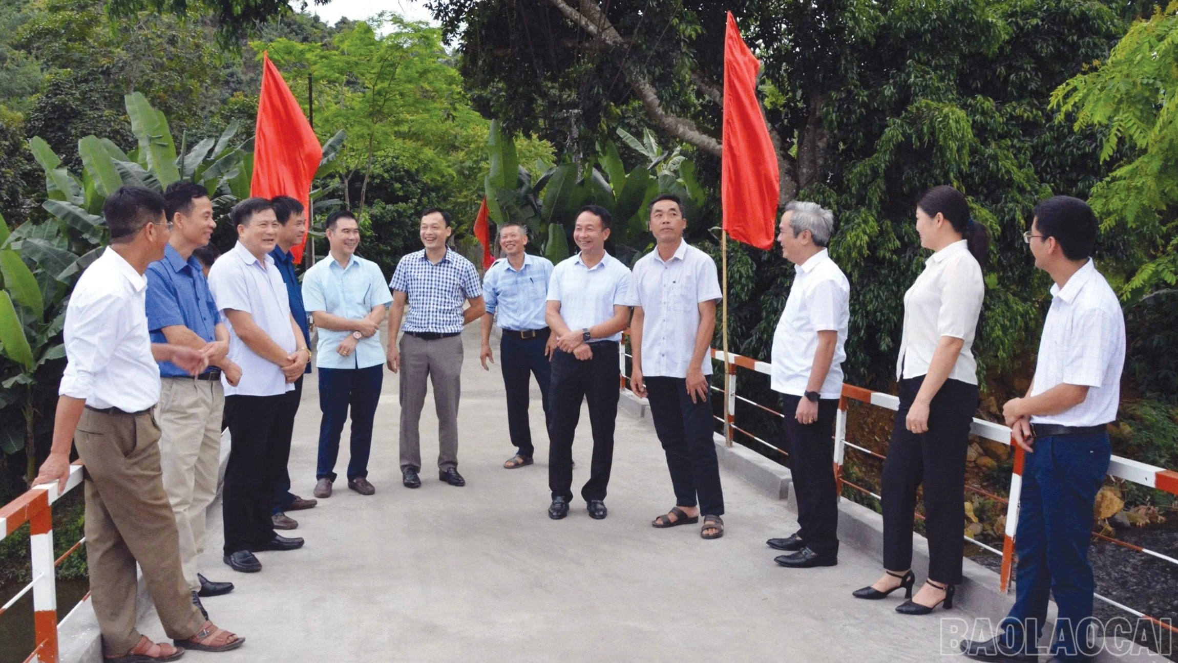 baolaocai-br_e-8413.jpg
